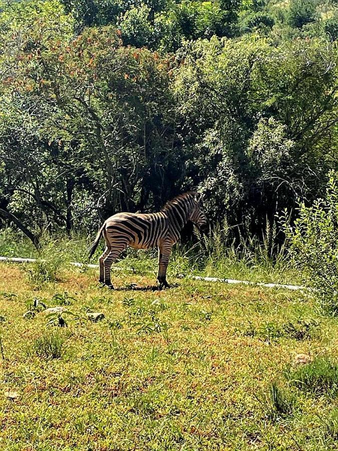 Апартаменты 66 Sharalumbi Wildlife Estate Машишинг Экстерьер фото